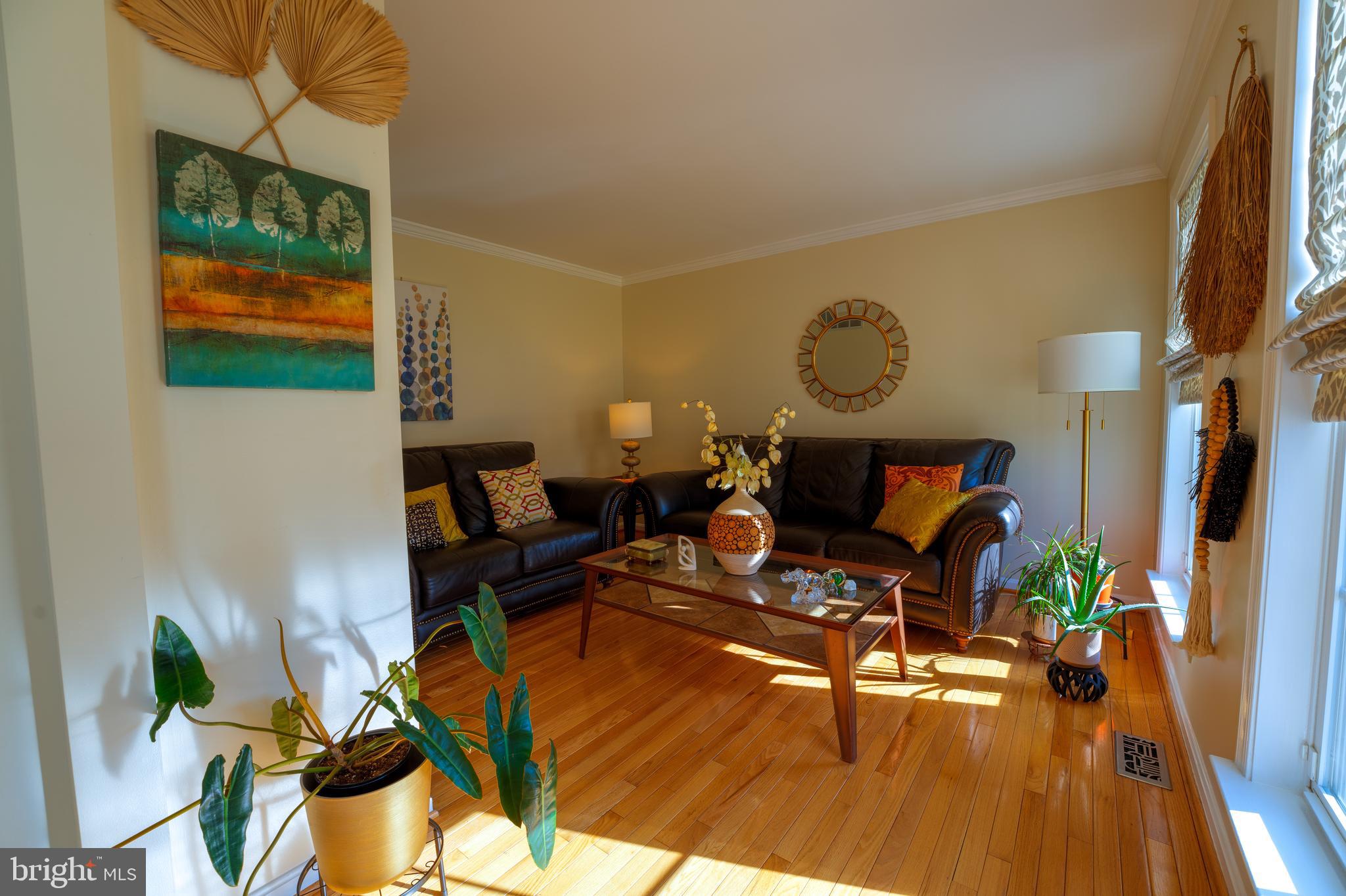 WYNTHORPE - Residential