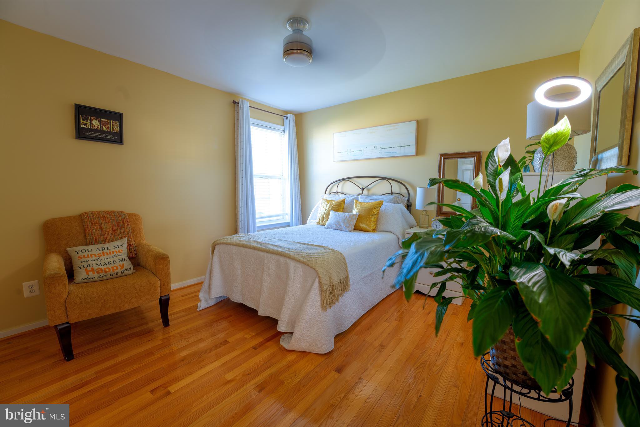 WYNTHORPE - Residential