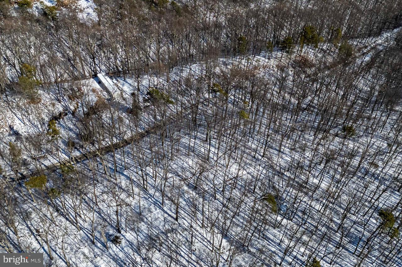 SHENANDOAH FOREST - Land