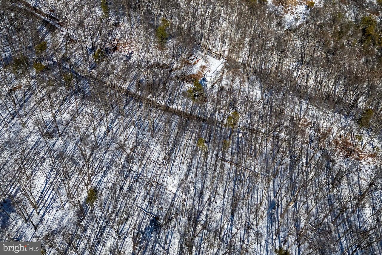 SHENANDOAH FOREST - Land