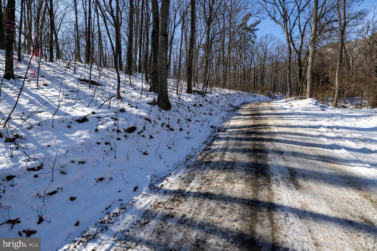 SHENANDOAH FOREST - Land