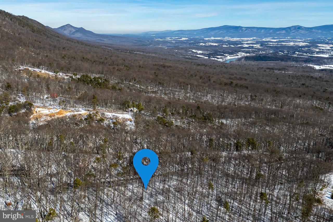 SHENANDOAH FOREST - Land