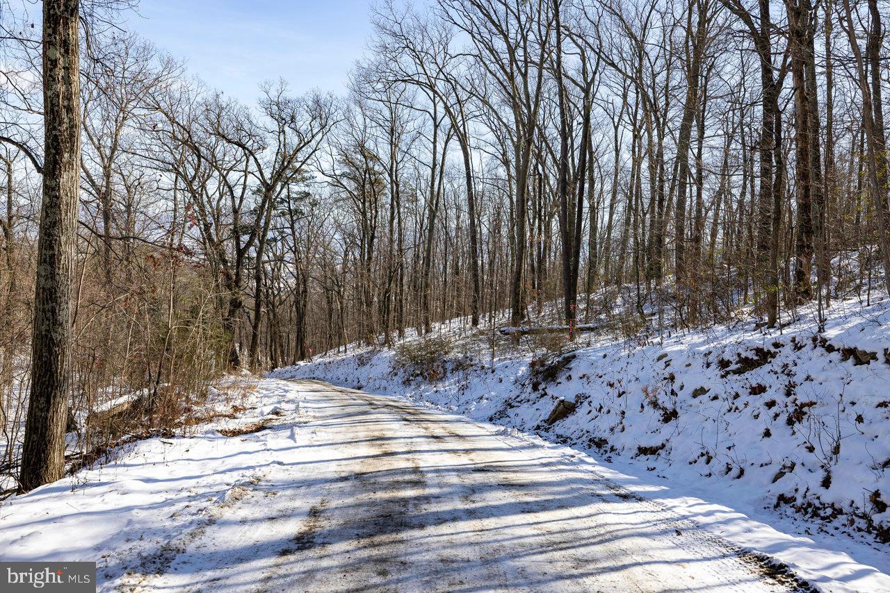 SHENANDOAH FOREST - Land
