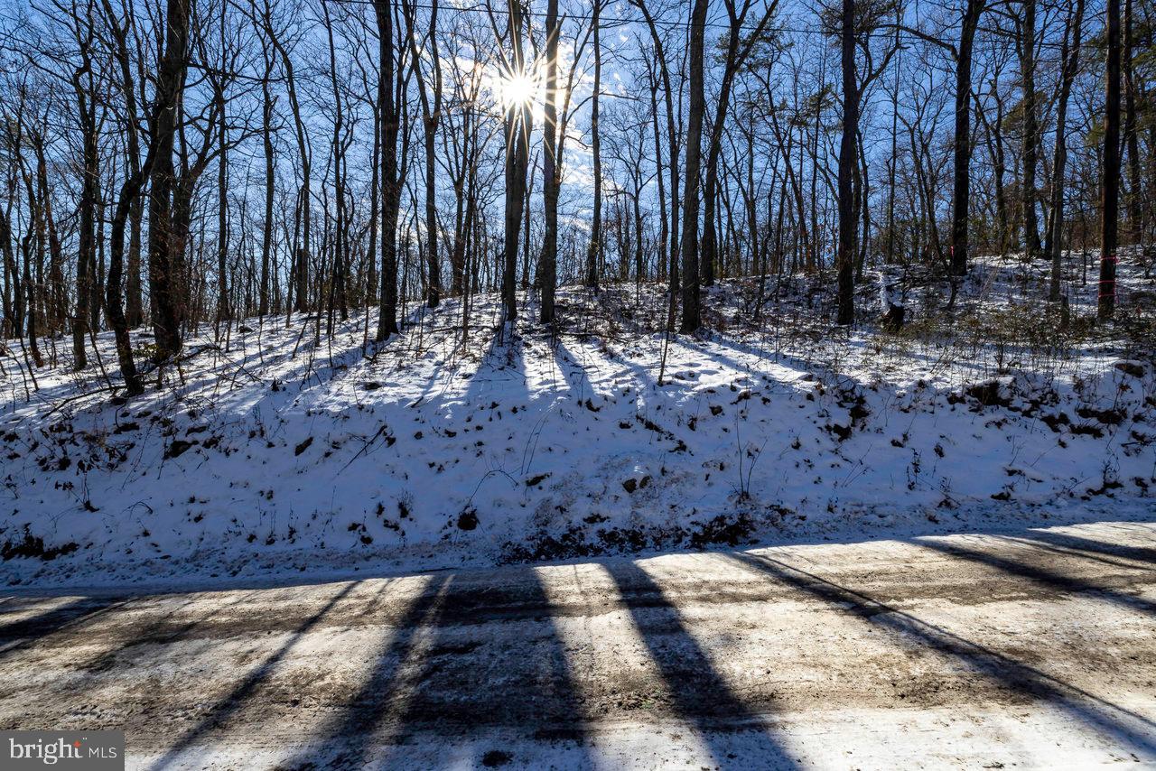 SHENANDOAH FOREST - Land