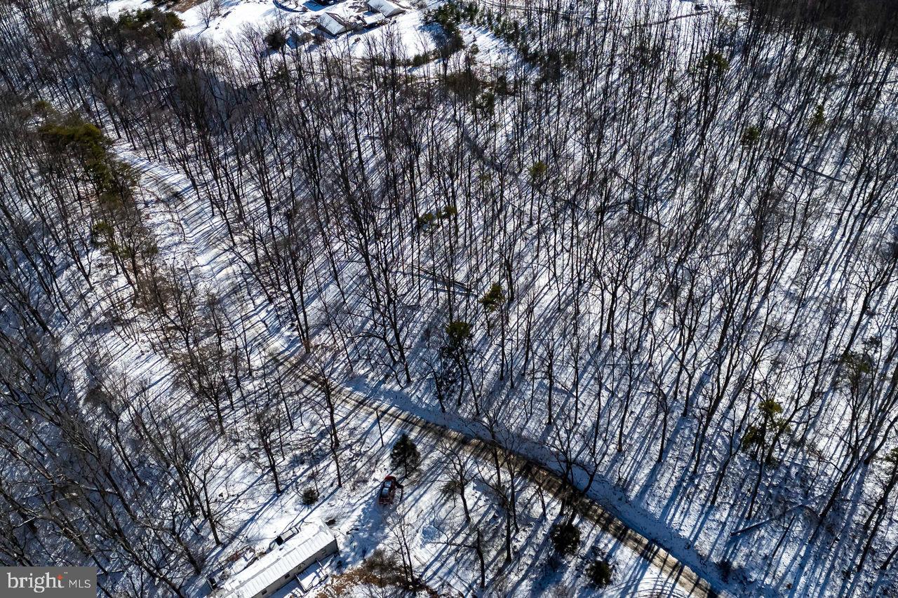 SHENANDOAH FOREST - Land