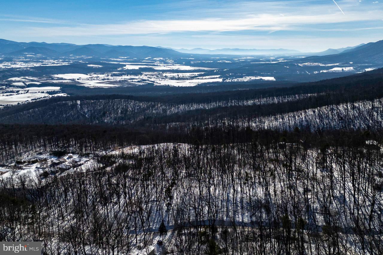 SHENANDOAH FOREST - Land