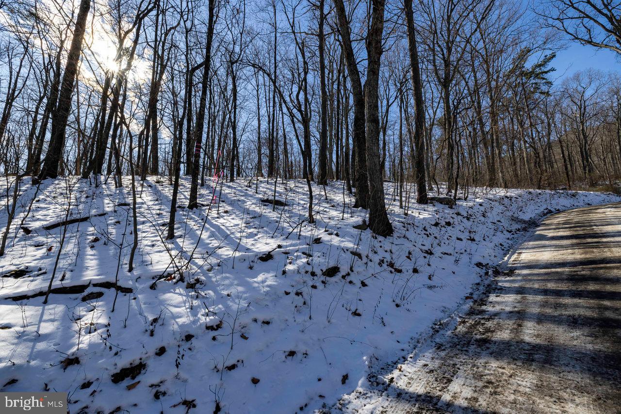 SHENANDOAH FOREST - Land