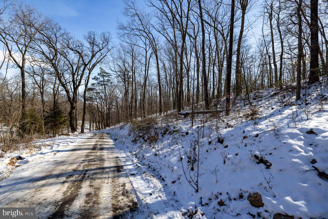 SHENANDOAH FOREST - Land