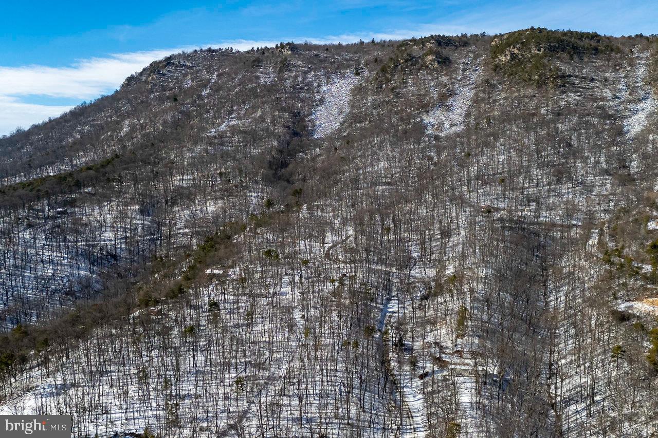 SHENANDOAH FOREST - Land