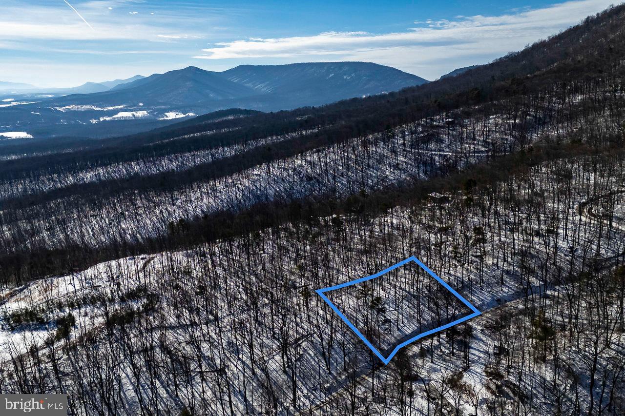 Exceptionally well priced, wooded lot in Shenandoah Forest.  Located near the public boat landing on the Shenandoah River and with easy access to the George Washington National Forest, this is the property you have been looking for. Corners were recently marked by a licensed surveyor. Mature timber and frontage on a well maintained gravel road.  Short-term rentals are allowed. Don't miss your opportunity to get away from it all and enjoy nature in beautiful Page County, Virginia!