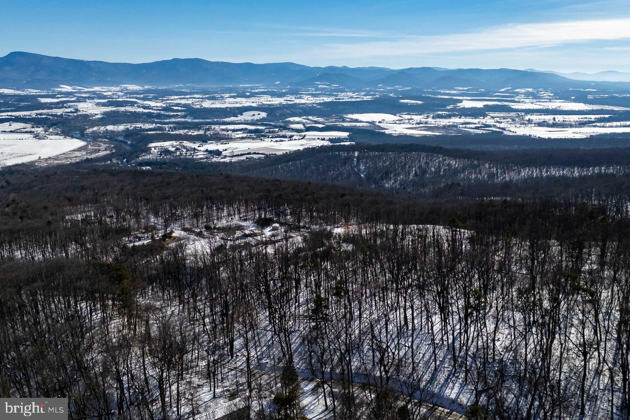 SHENANDOAH FOREST - Land