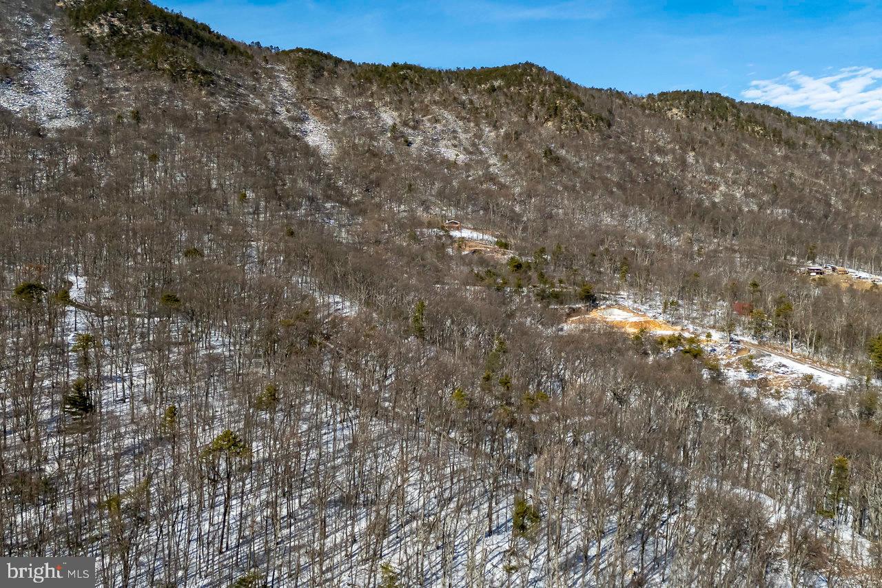 SHENANDOAH FOREST - Land