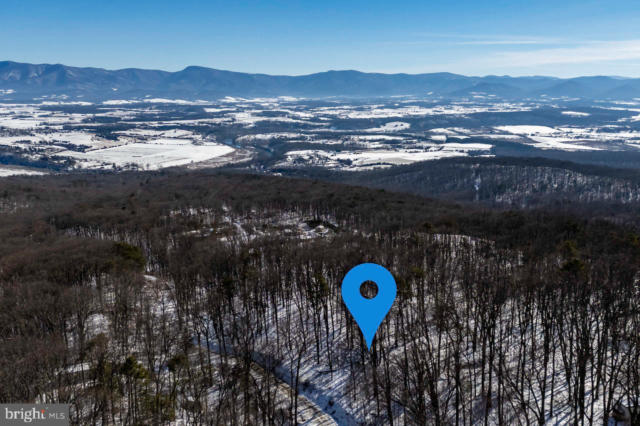 SHENANDOAH FOREST - Land
