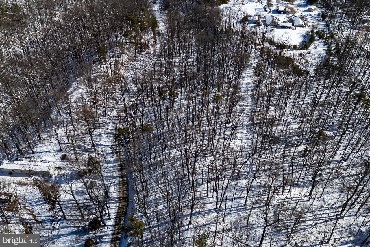 SHENANDOAH FOREST - Land