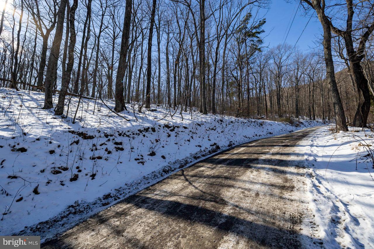 SHENANDOAH FOREST - Land