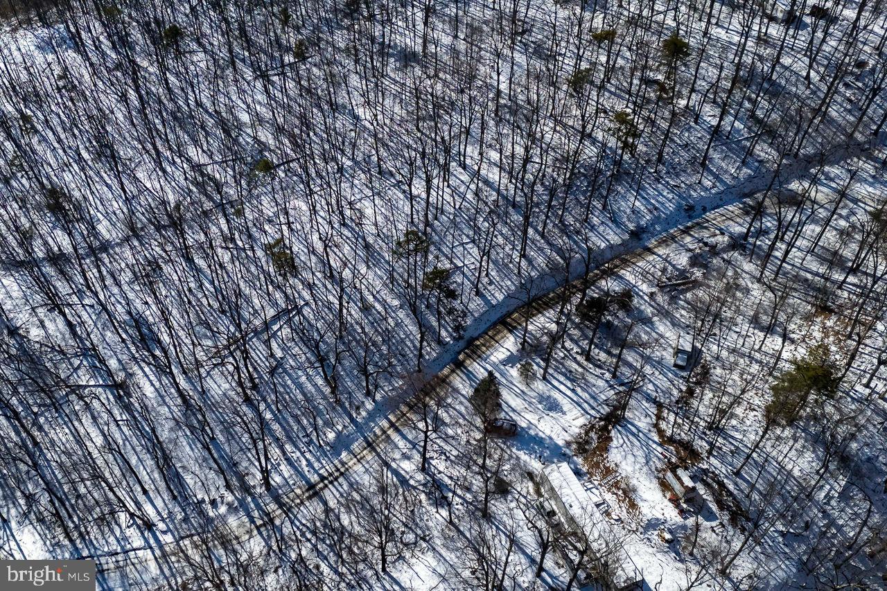 SHENANDOAH FOREST - Land
