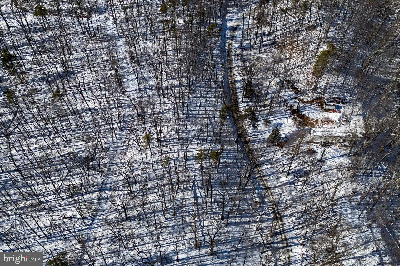 SHENANDOAH FOREST - Land