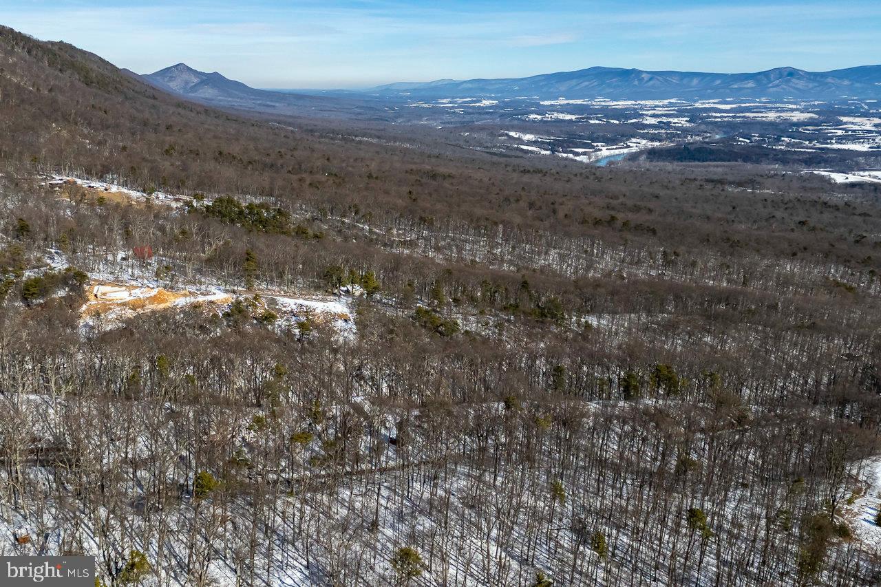SHENANDOAH FOREST - Land