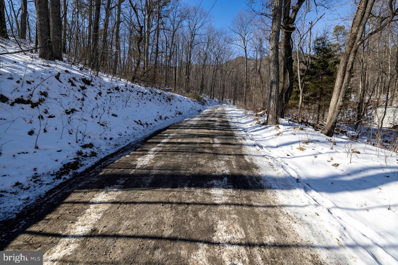 SHENANDOAH FOREST - Land
