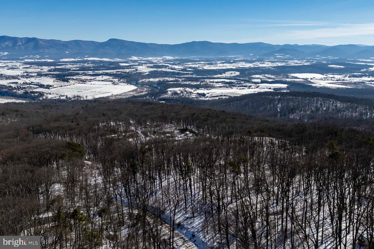 SHENANDOAH FOREST - Land