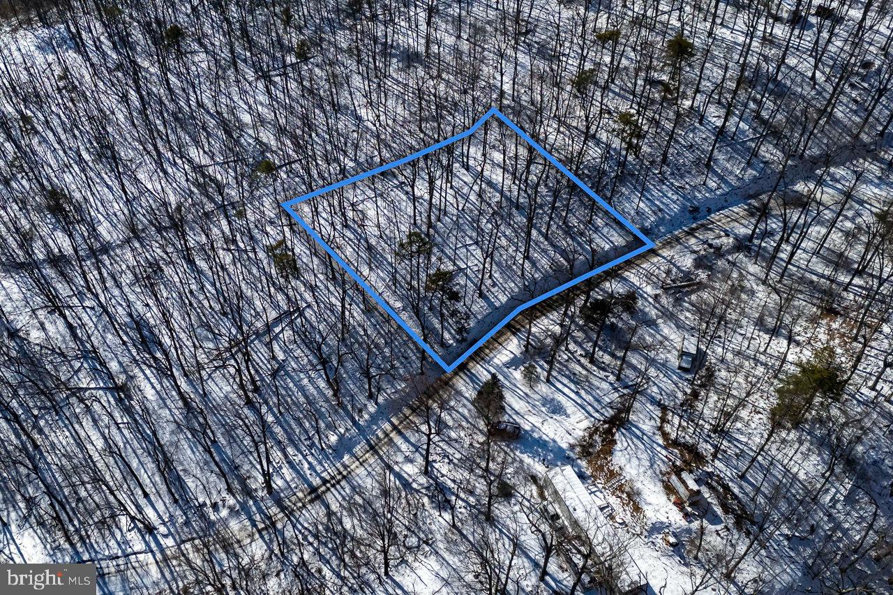 SHENANDOAH FOREST - Land
