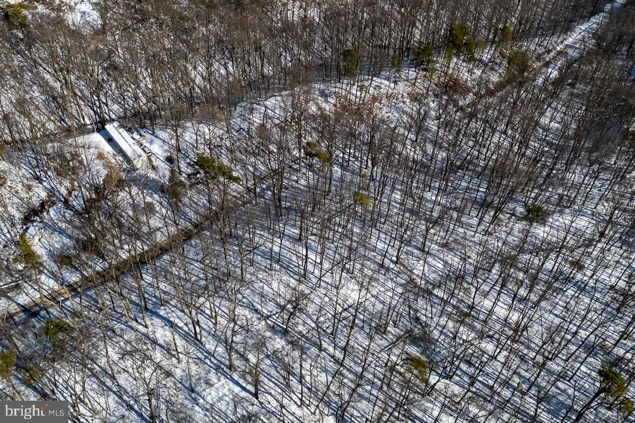 SHENANDOAH FOREST - Land