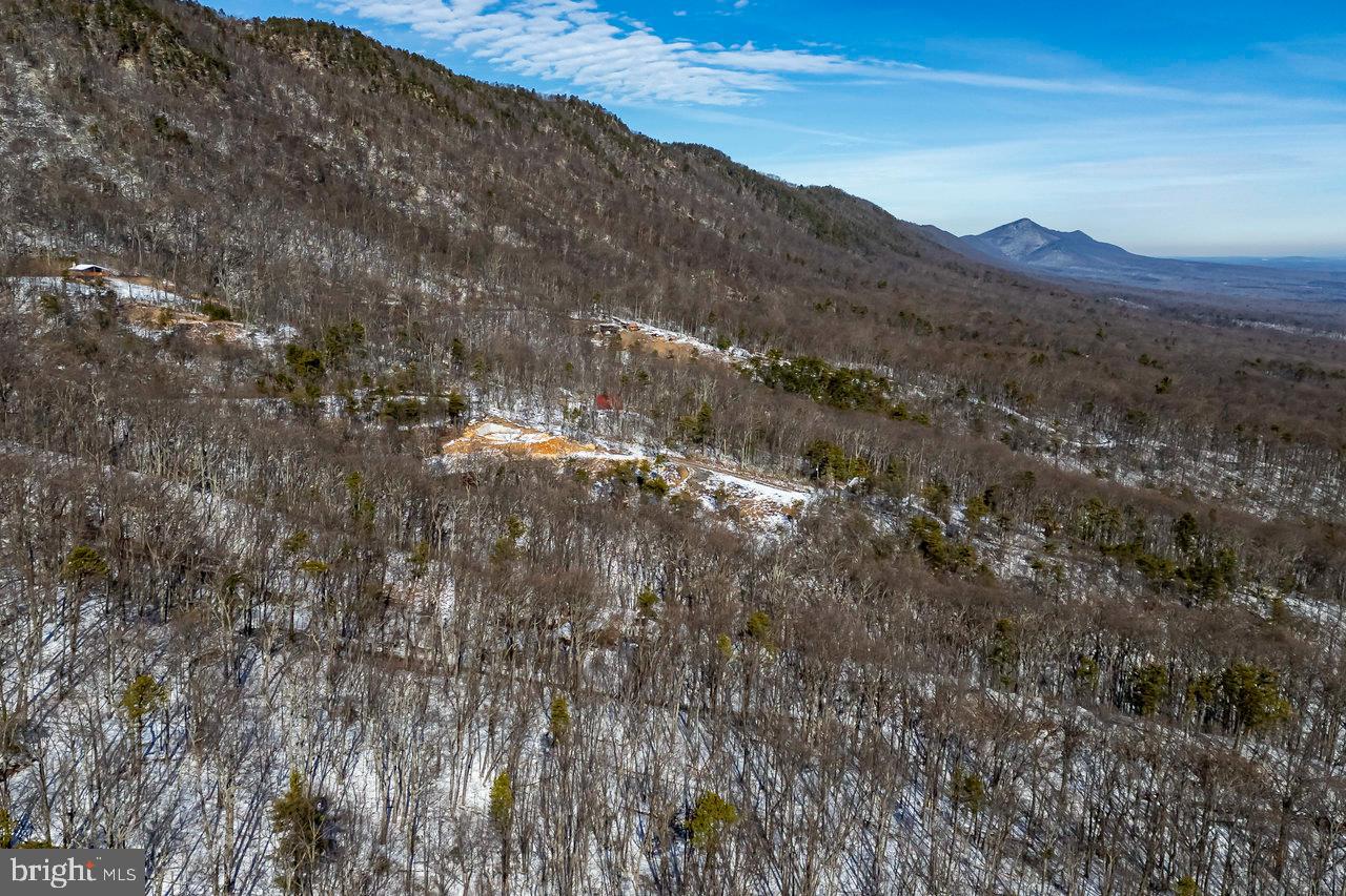 SHENANDOAH FOREST - Land