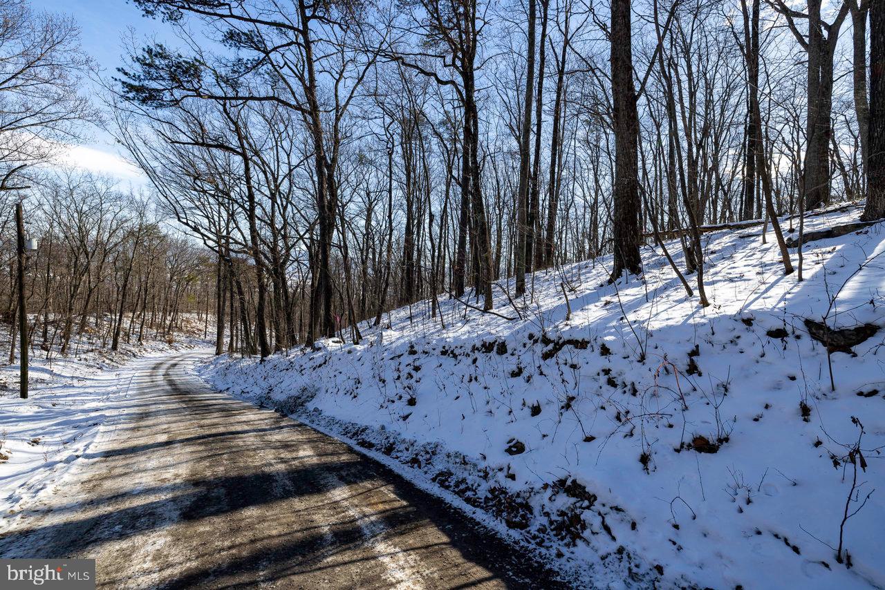 SHENANDOAH FOREST - Land