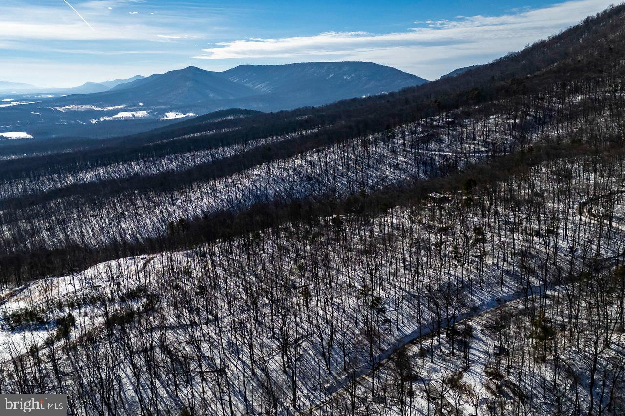 SHENANDOAH FOREST - Land