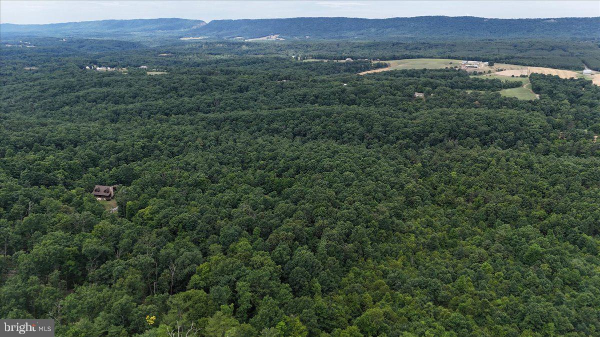 This private and secure 19 ACRE lot is waiting to be your future home site or recreational haven.   Boasting endless wildlife, you'll encounter turkeys, deer and several types of birds.  There are multiple maintained trails, and a seasonal stream at the back of the property.  Passed perc with an approved septic plan on file.  Enrolled in Clean and Green.