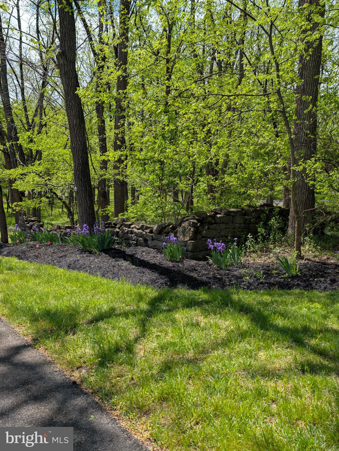SHELTER LAKES - Residential