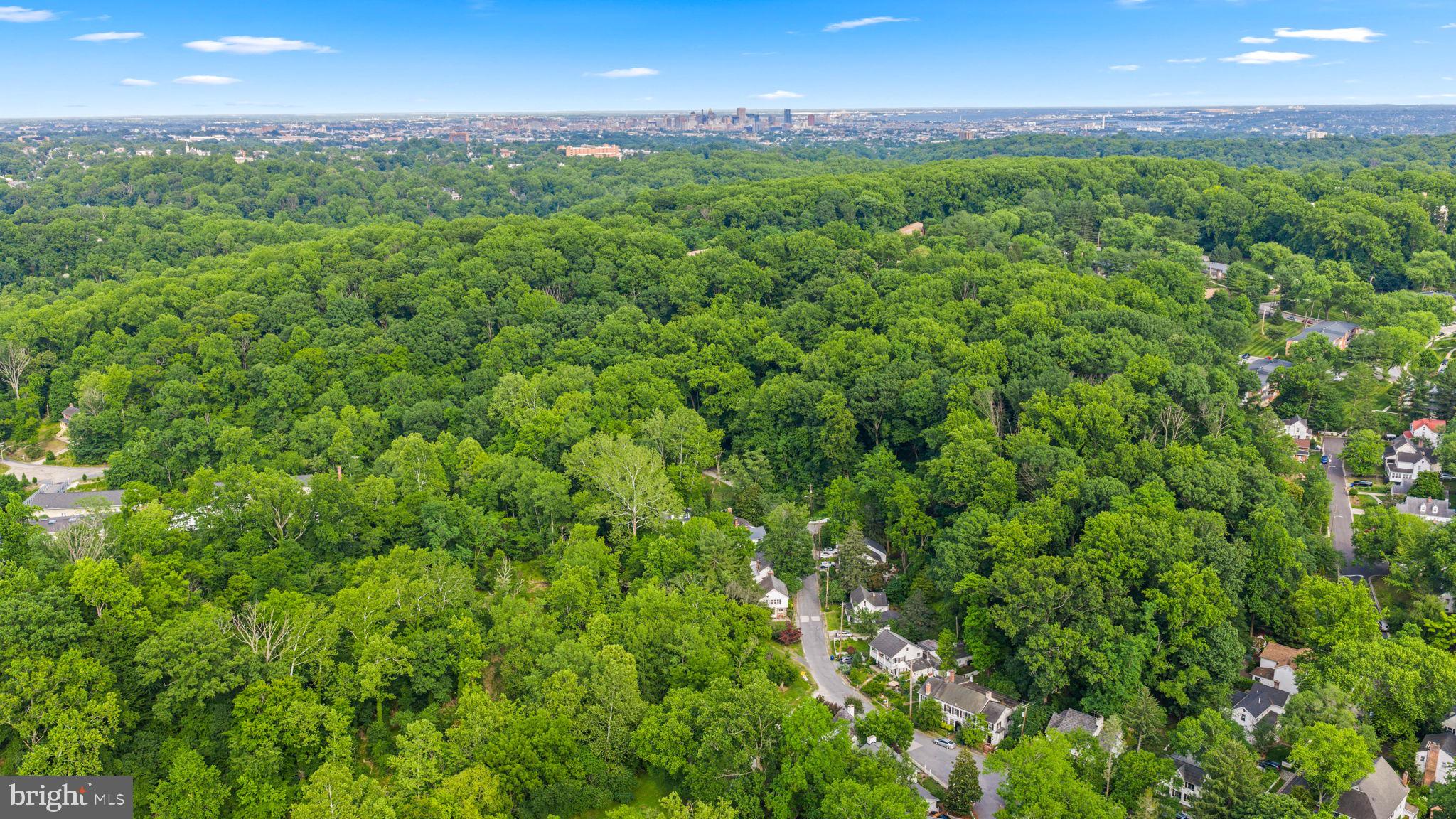 DICKEYVILLE HISTORIC DISTRICT - Residential