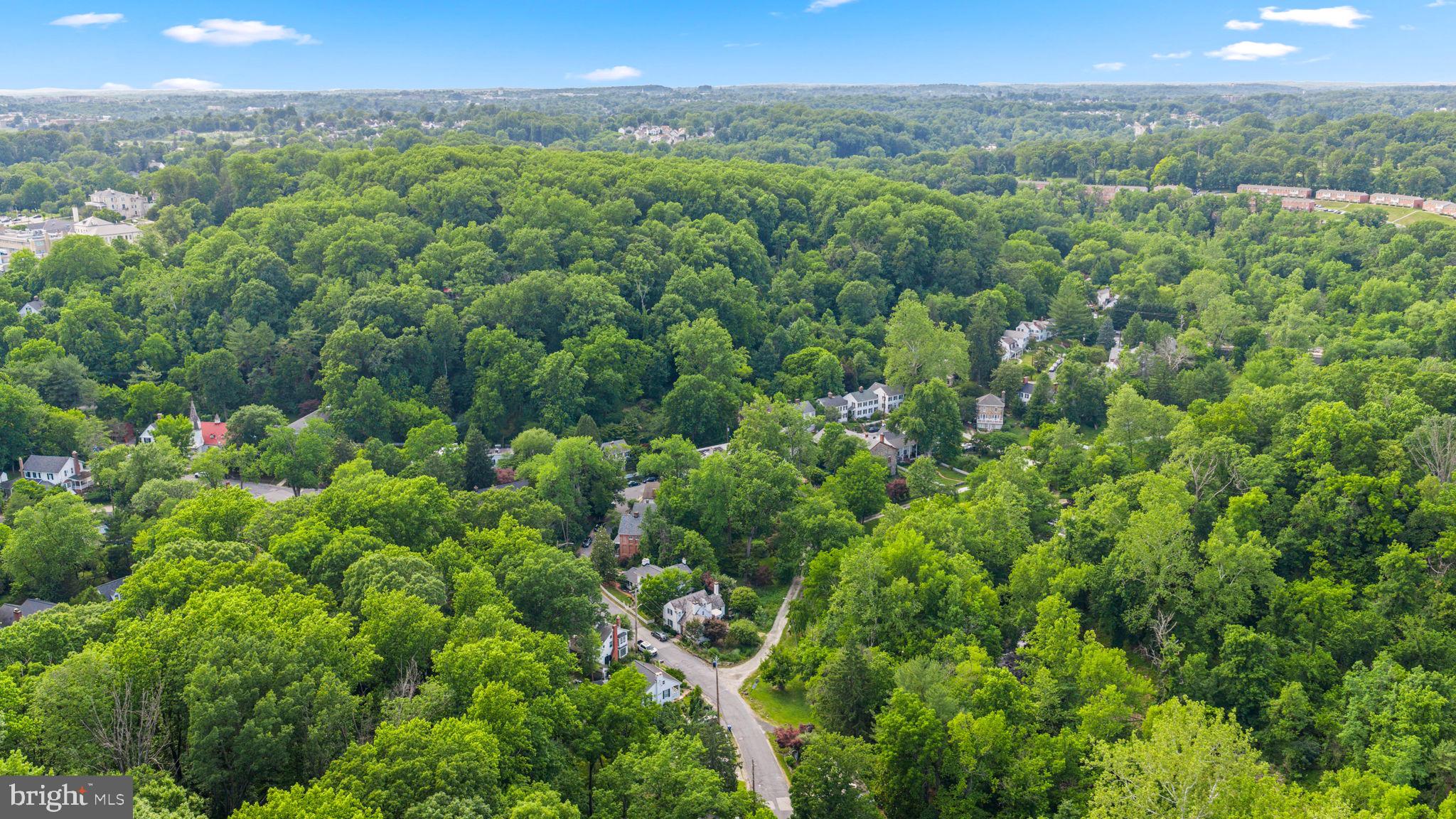 DICKEYVILLE HISTORIC DISTRICT - Residential