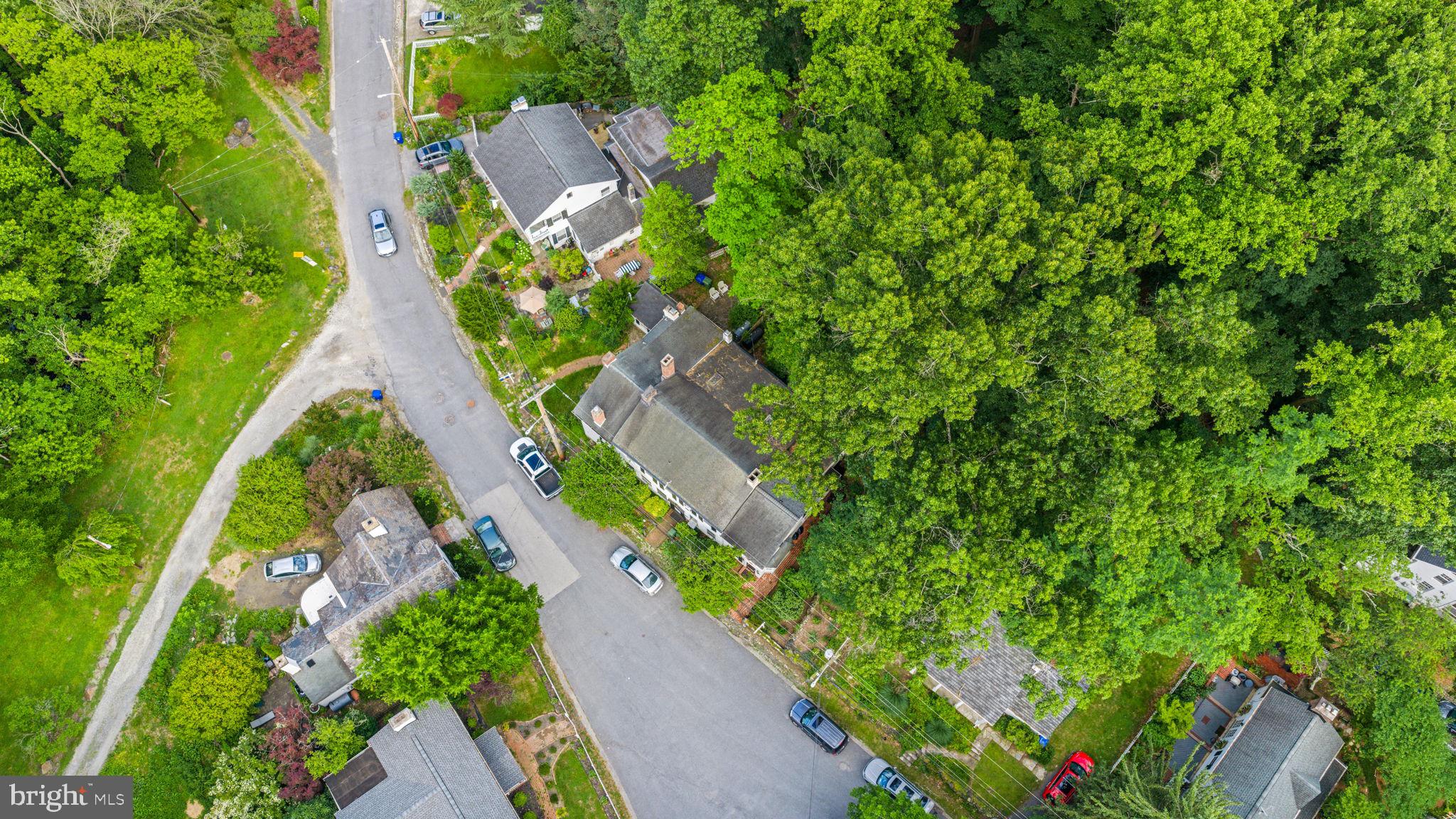 DICKEYVILLE HISTORIC DISTRICT - Residential