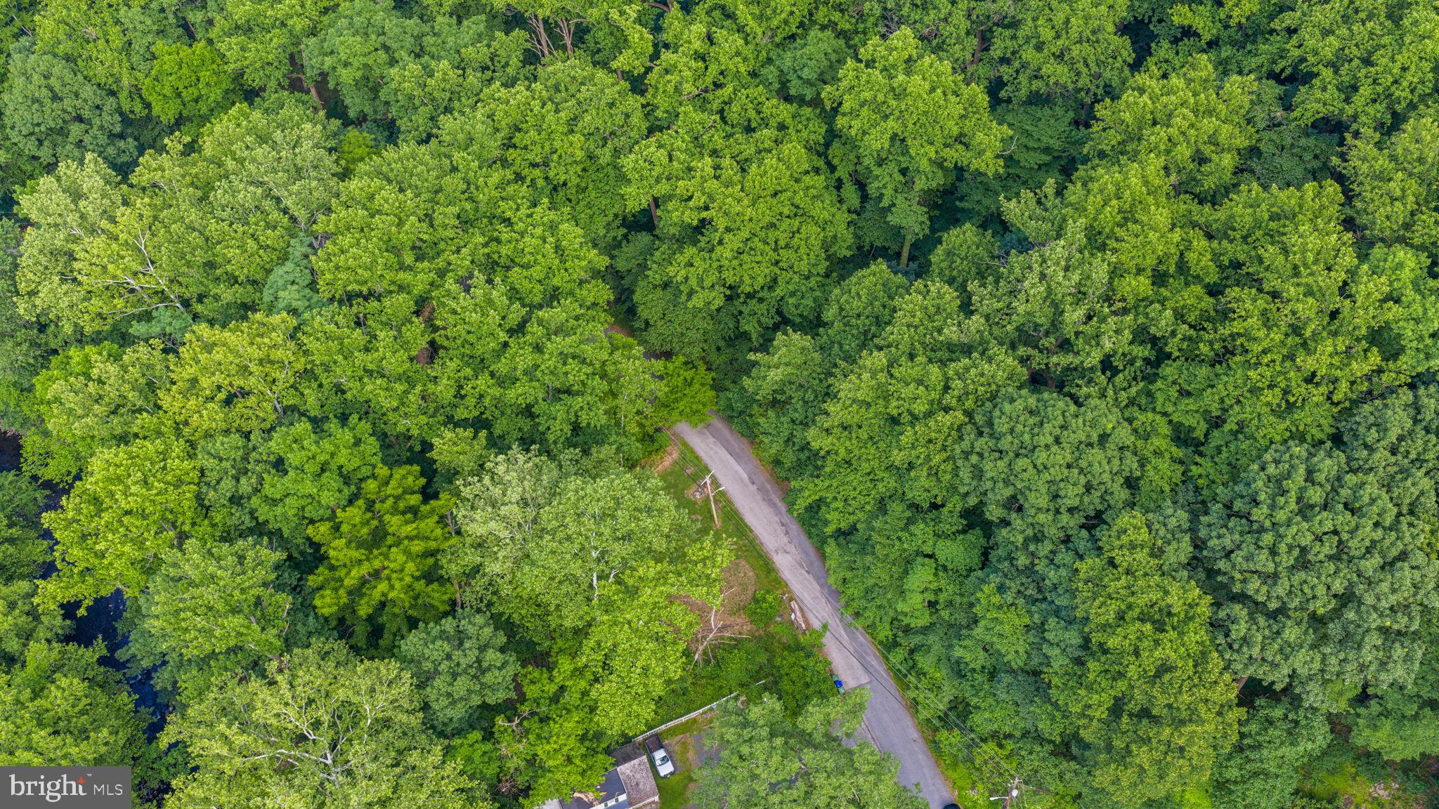 DICKEYVILLE HISTORIC DISTRICT - Residential