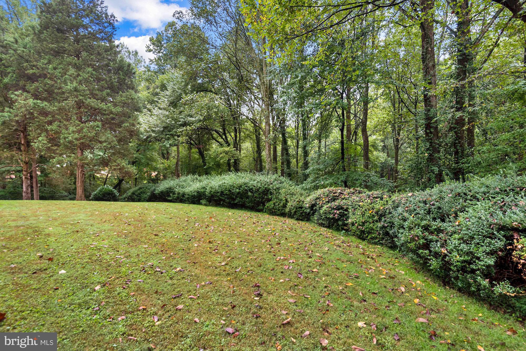 LANGLEY OAKS - Residential