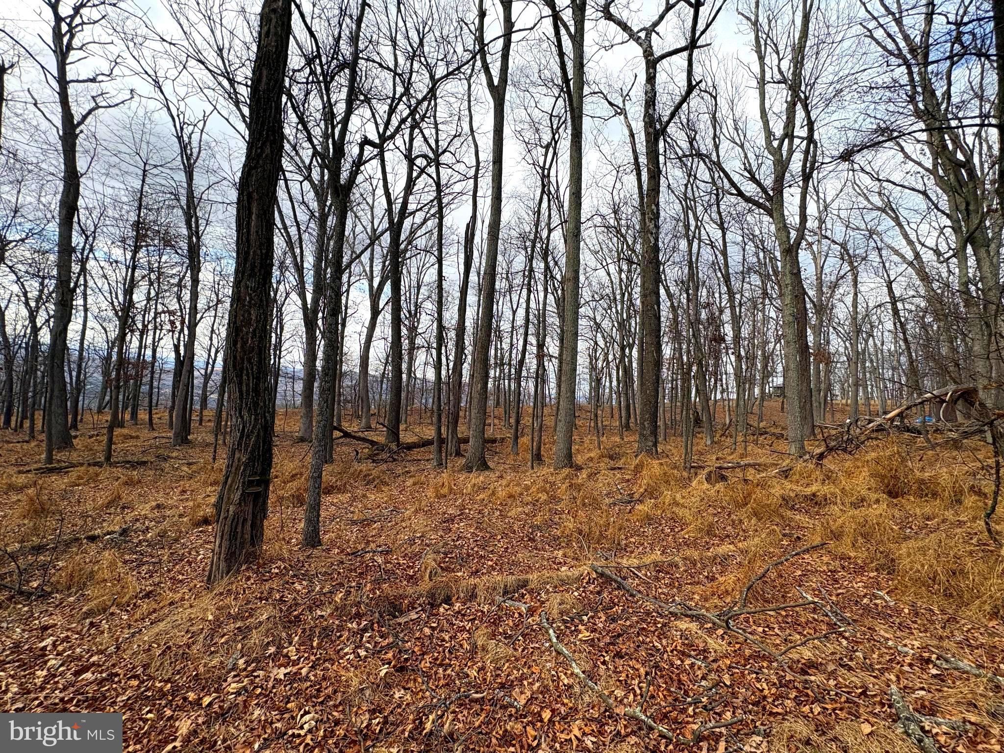 OLD FIELDS - Land