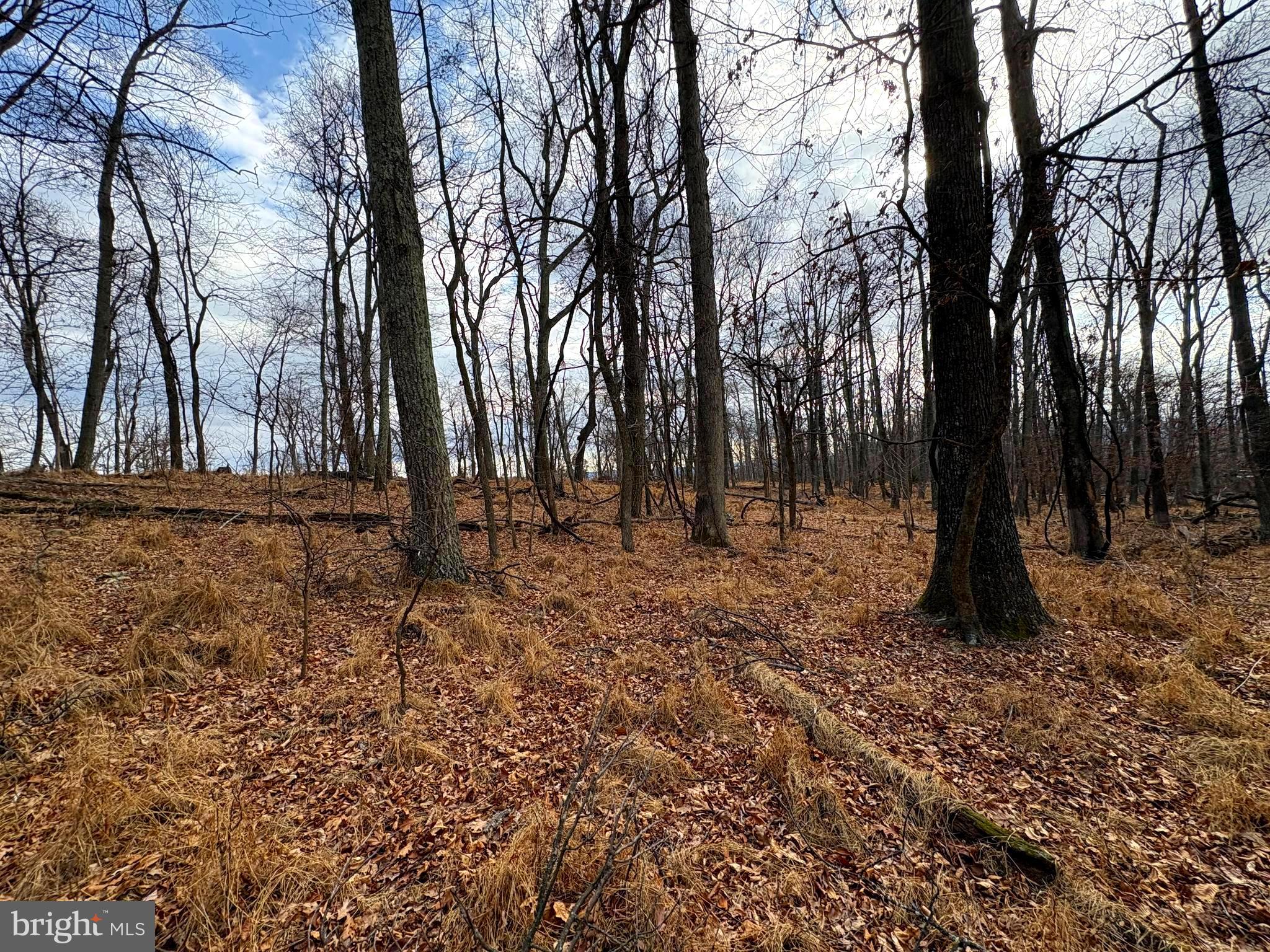 OLD FIELDS - Land