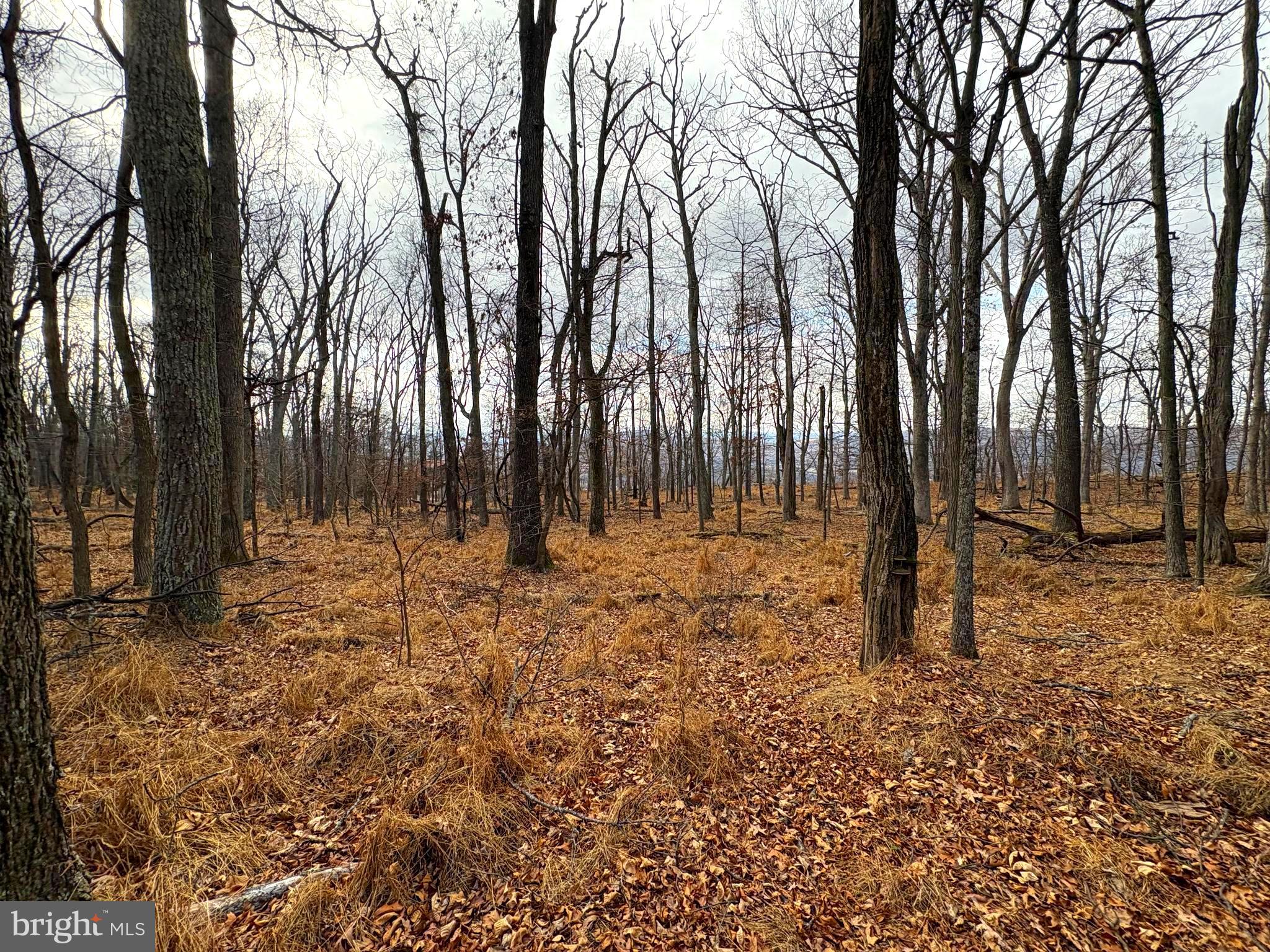 OLD FIELDS - Land