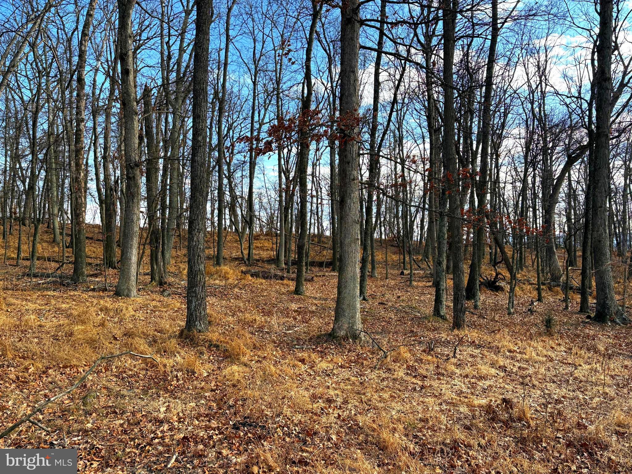 OLD FIELDS - Land
