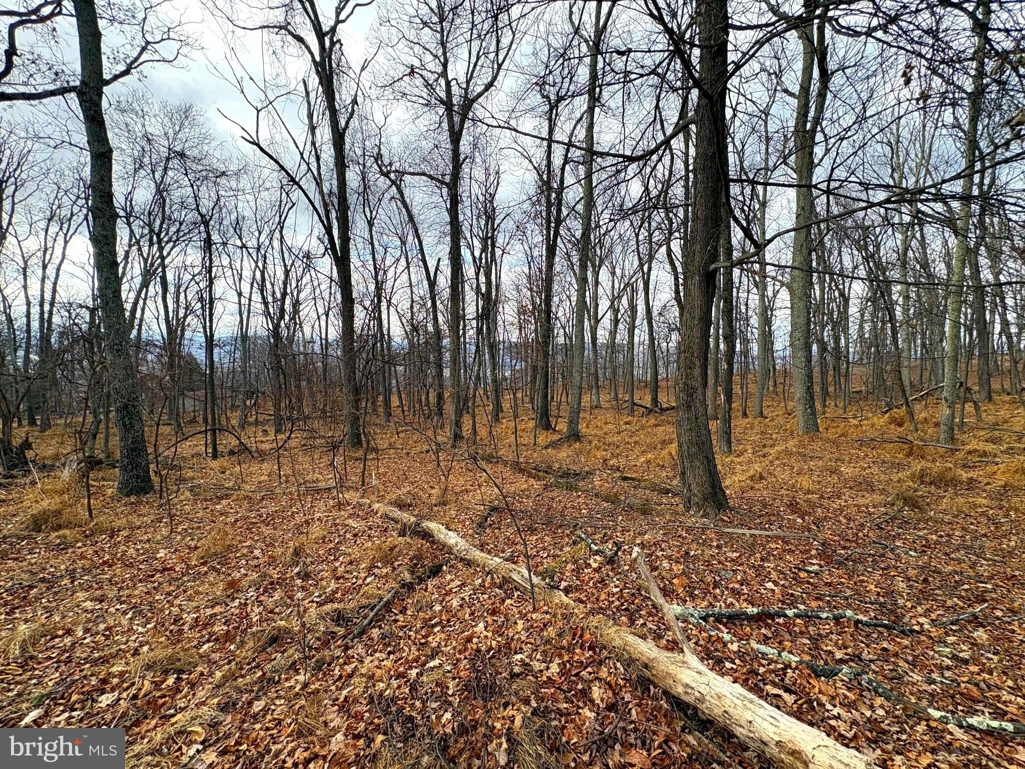 OLD FIELDS - Land