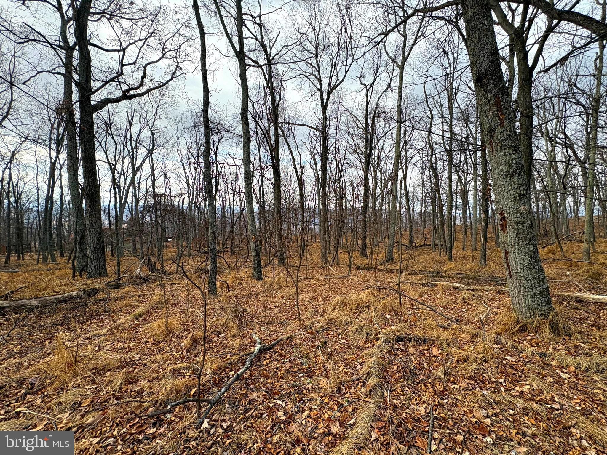 OLD FIELDS - Land