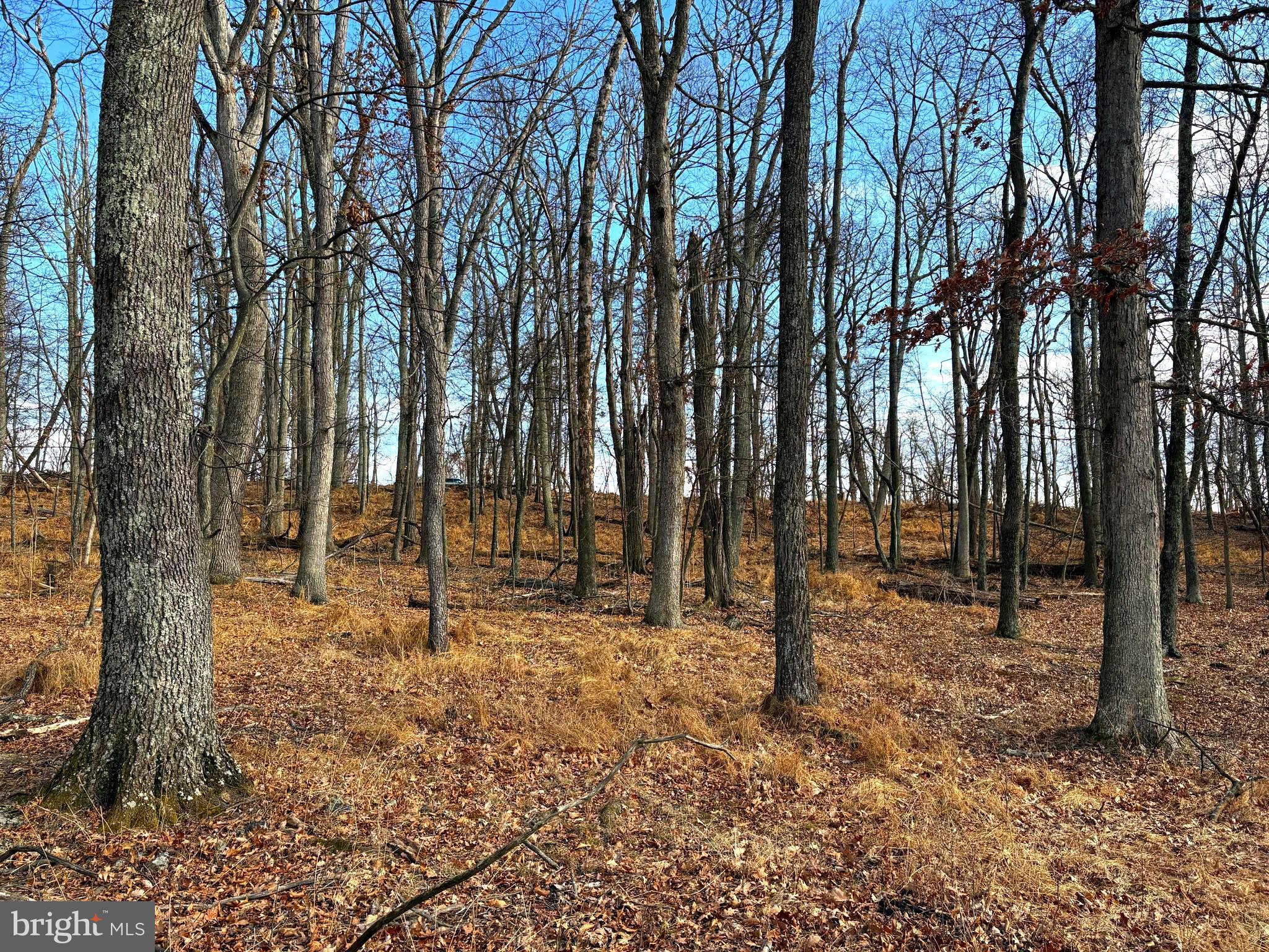 OLD FIELDS - Land