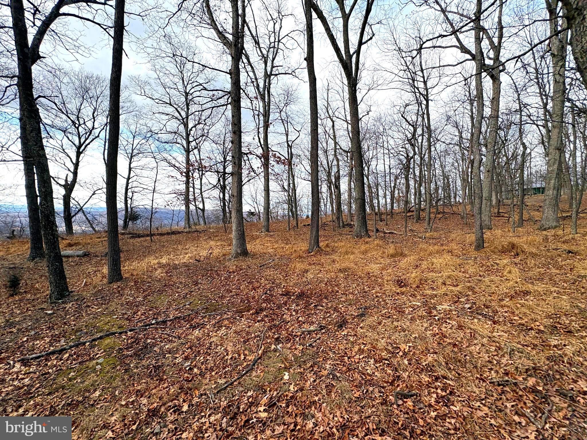 OLD FIELDS - Land