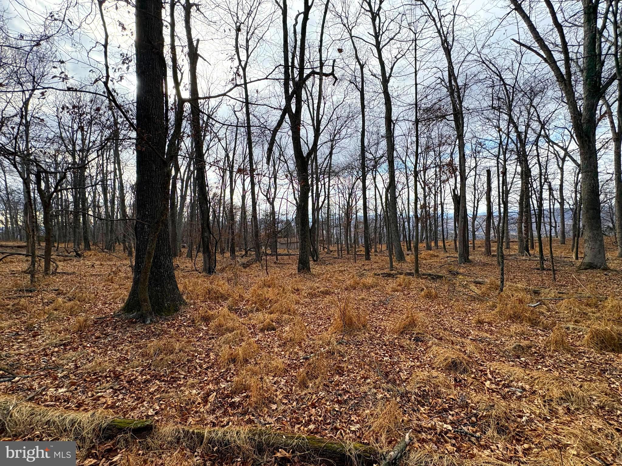 OLD FIELDS - Land