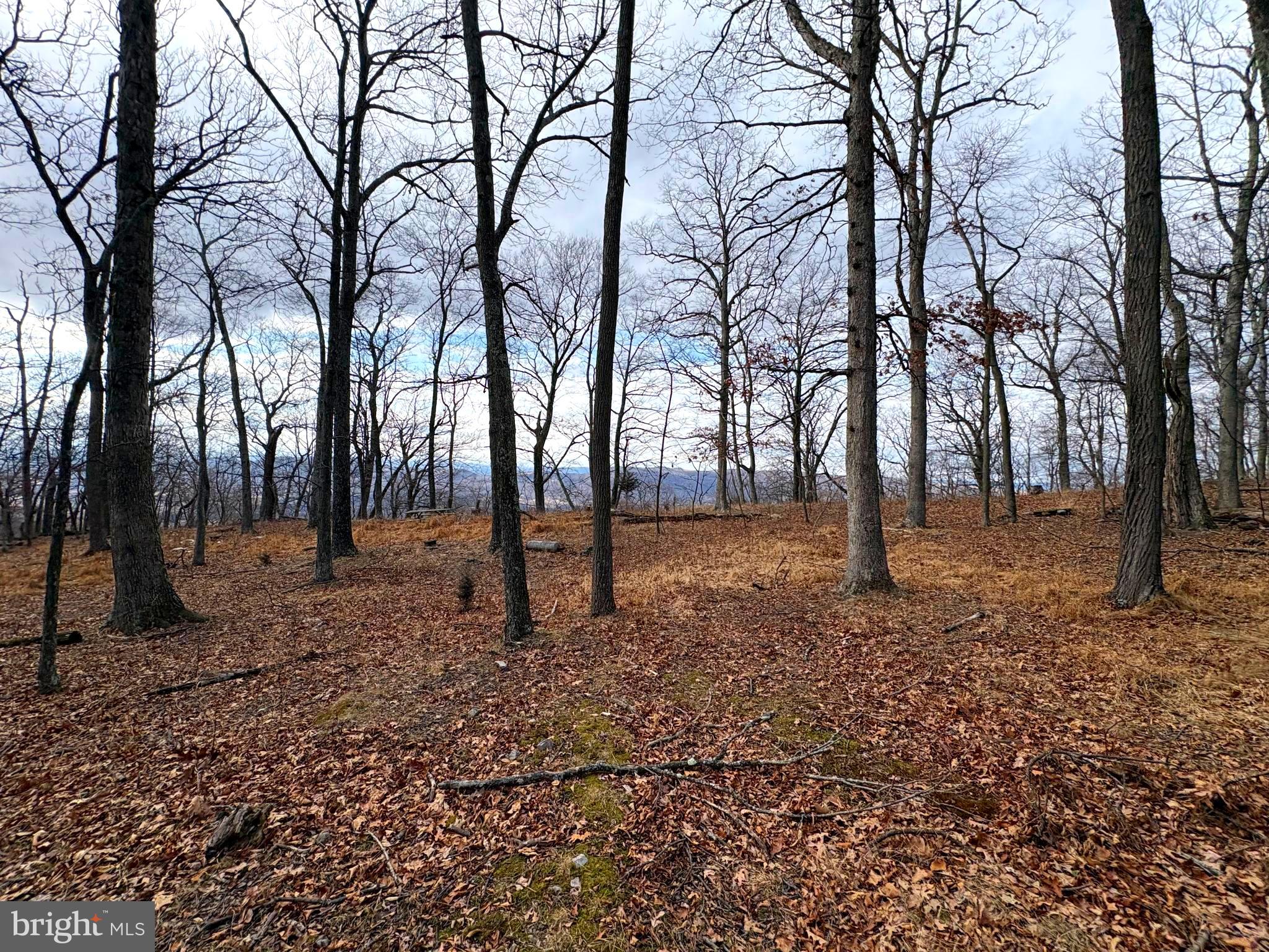 OLD FIELDS - Land