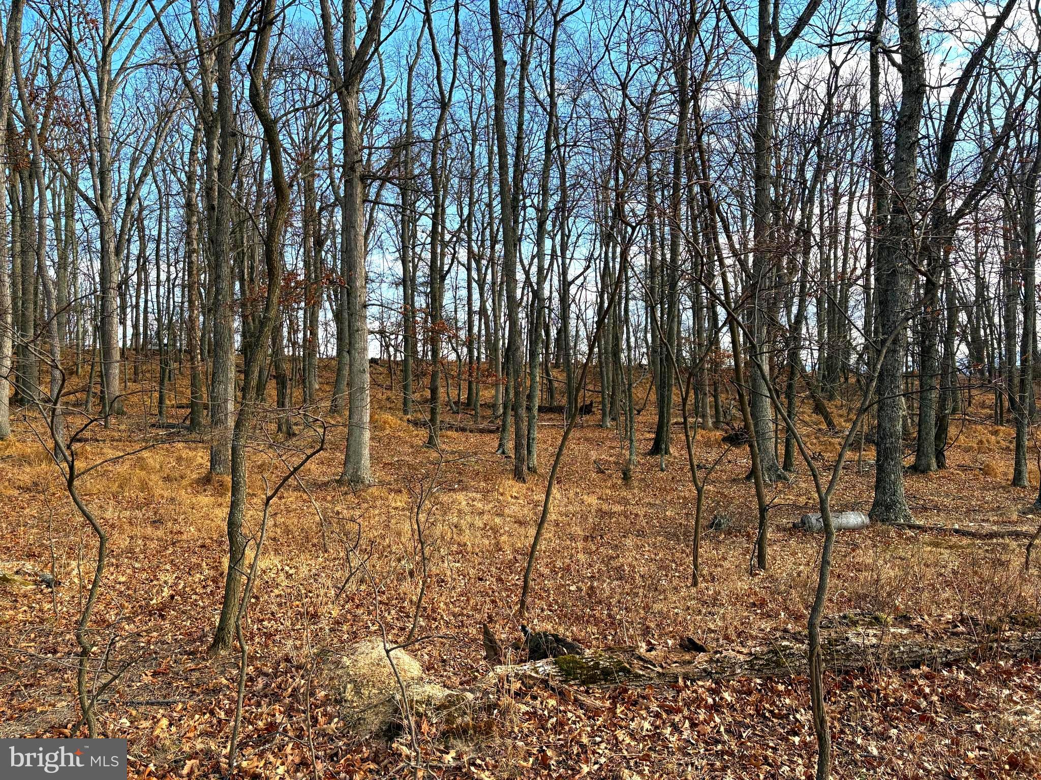 OLD FIELDS - Land