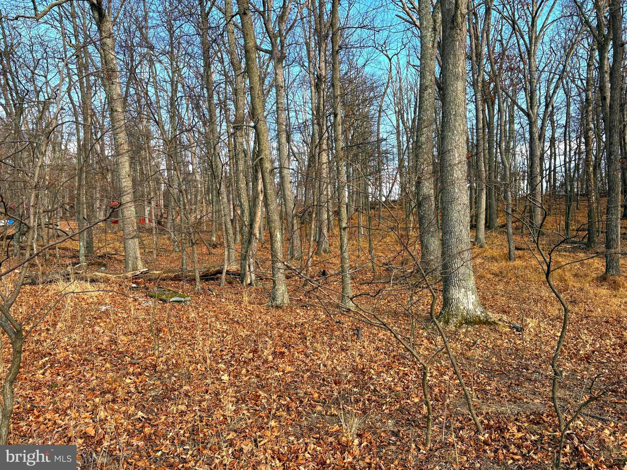 OLD FIELDS - Land