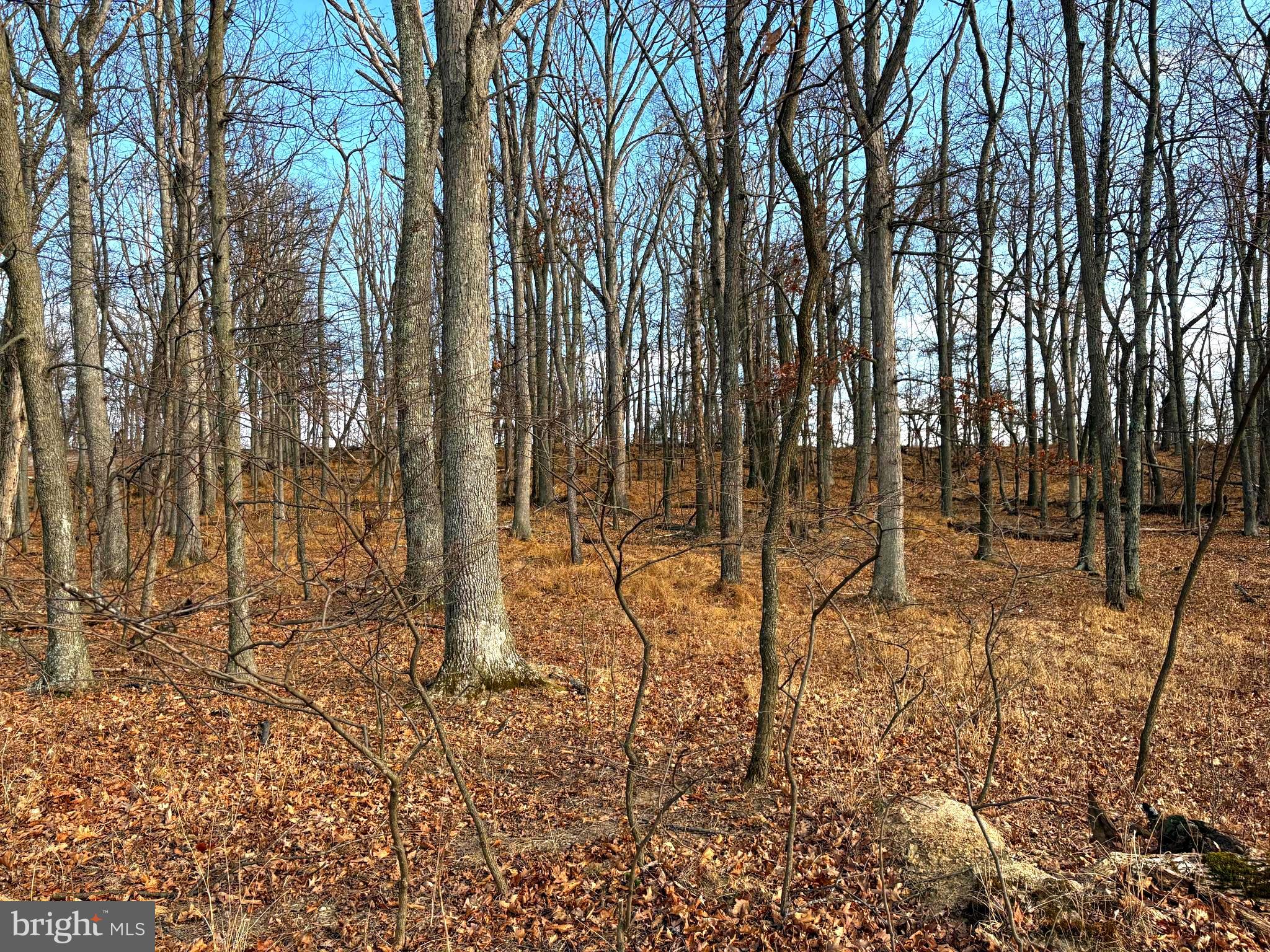 OLD FIELDS - Land