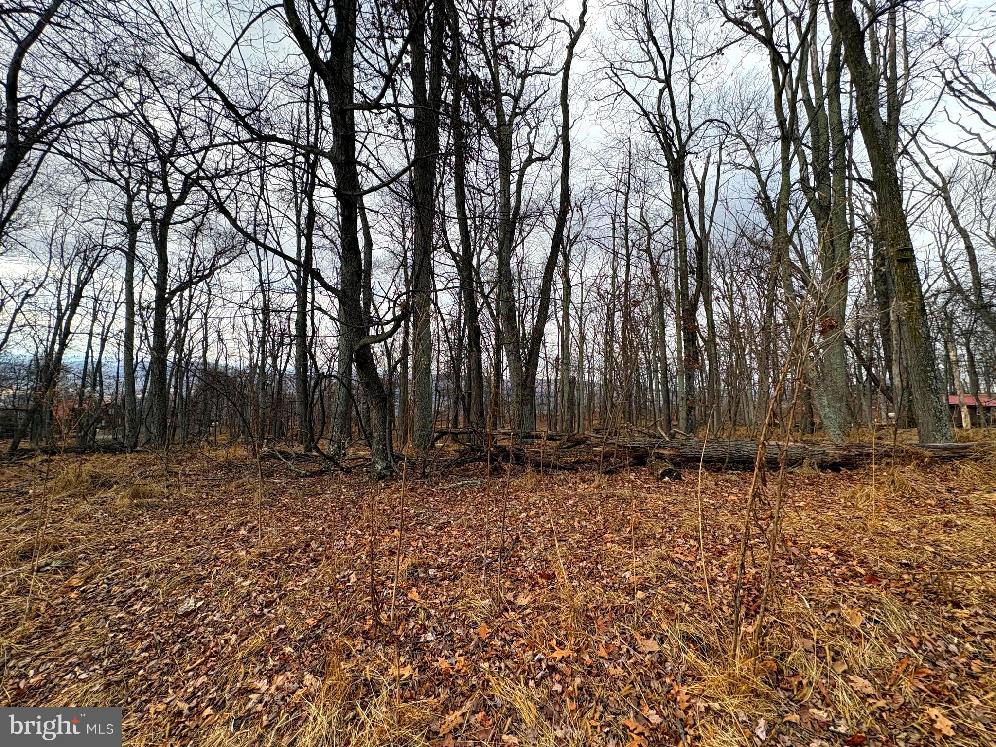 OLD FIELDS - Land